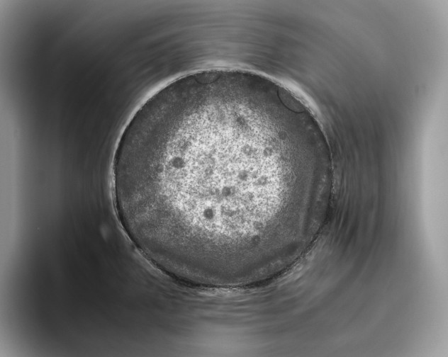 X0000095941287200802011034