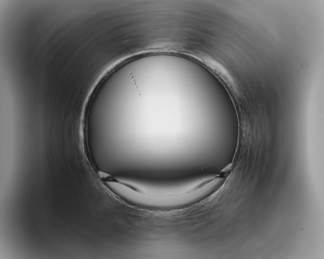 X0000095941288200802011034