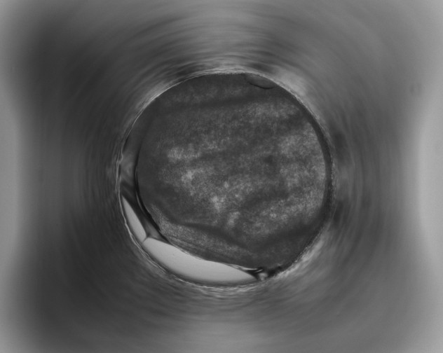 X0000095941289200802011034