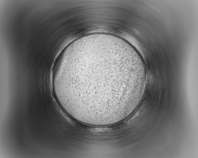 X0000095941290200802011034