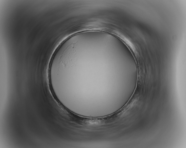 X0000095941291200802011034