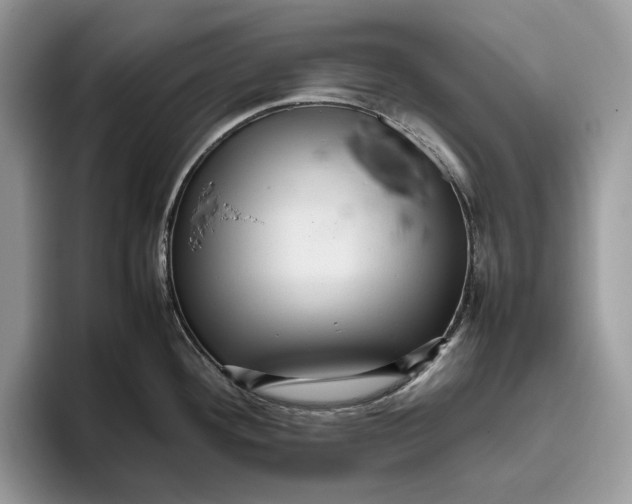 X0000095941292200802011034