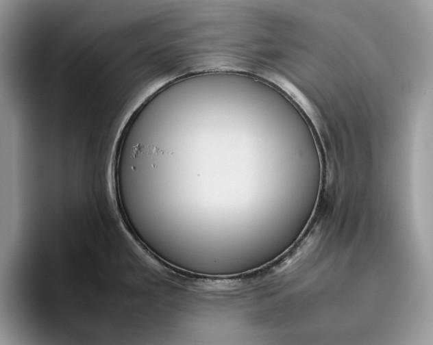 X0000095941293200802011034