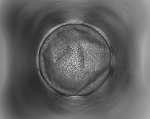 X0000095941295200802011034