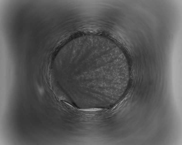 X0000095941297200802011033