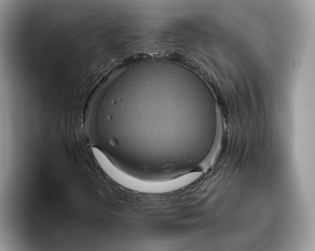 X0000095941298200802011033