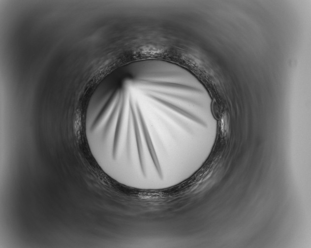 X0000095941299200802011033