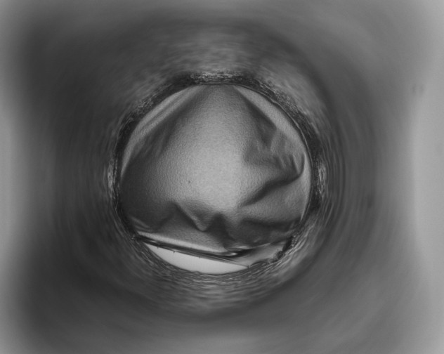 X0000095941300200802011033