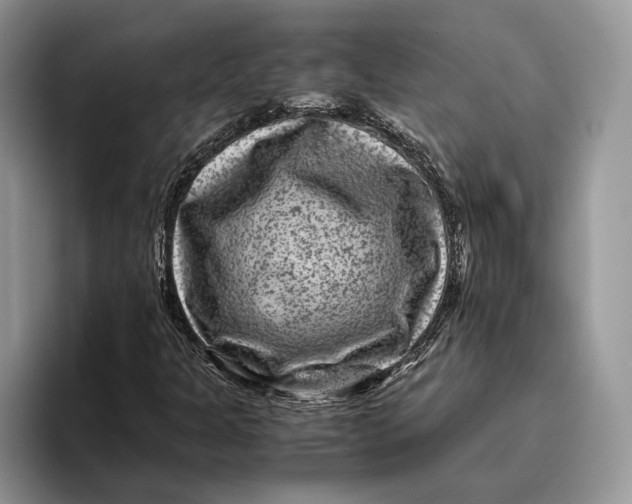 X0000095941301200802011033