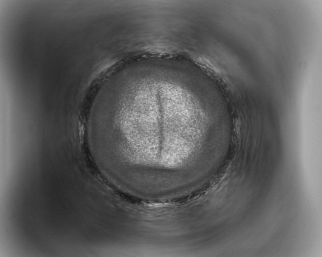 X0000095941302200802011033