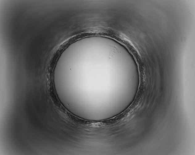 X0000095941304200802011033