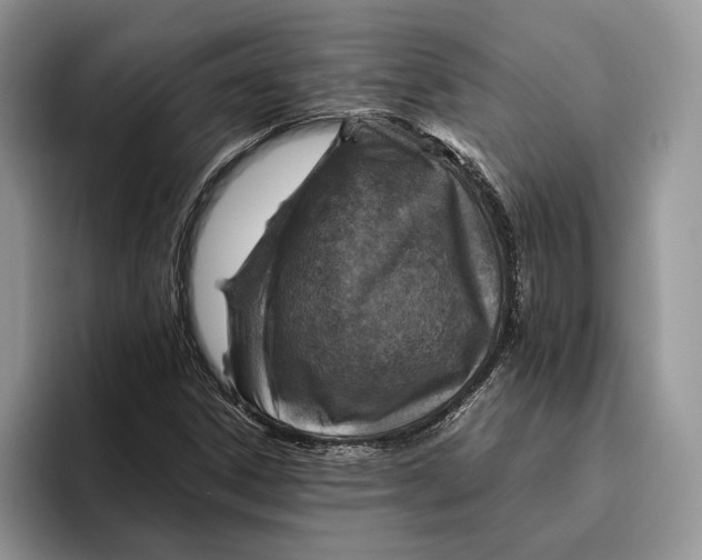 X0000095941306200802011033