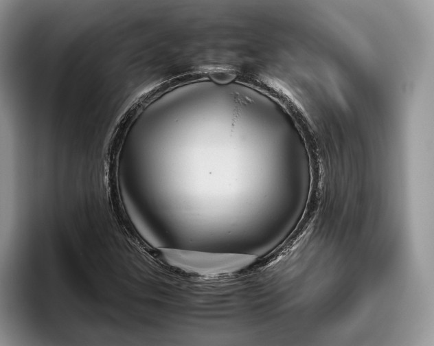 X0000095941307200802011033