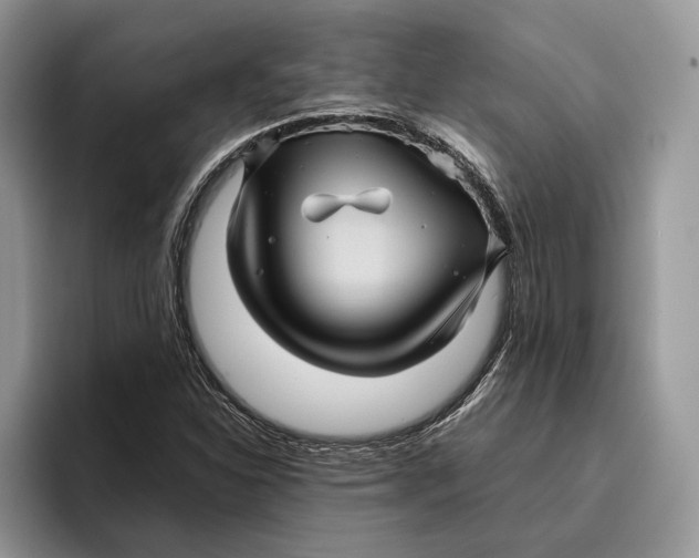 X0000095941310200802011033