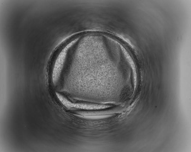 X0000095941311200802011033