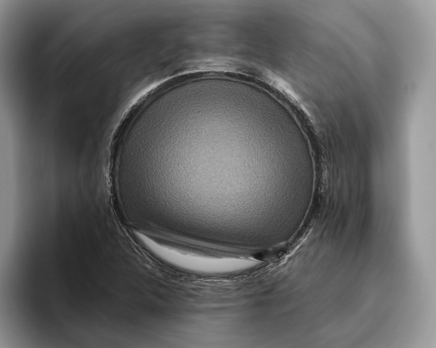 X0000095941312200802011033