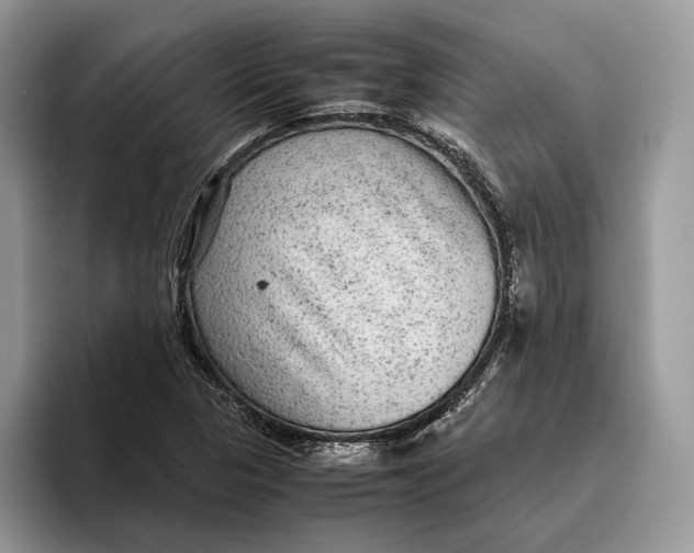 X0000095941313200802011033