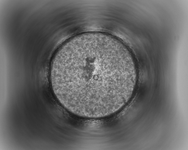 X0000095941314200802011033