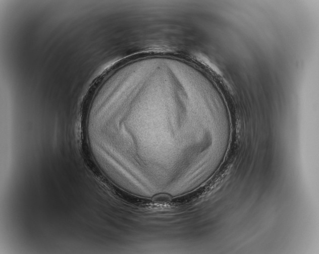 X0000095941315200802011033