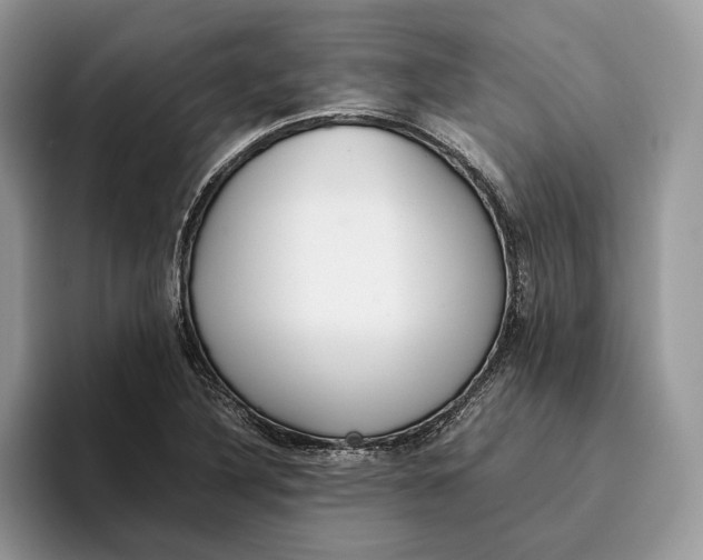 X0000095941316200802011033