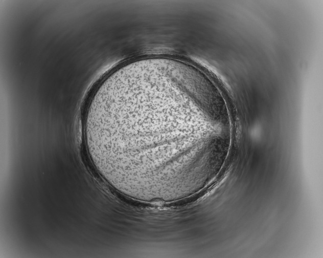 X0000095941317200802011033