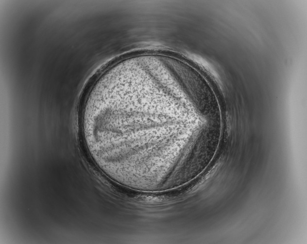 X0000095941318200802011033