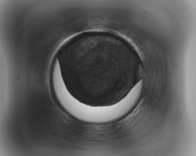 X0000095941319200802011033