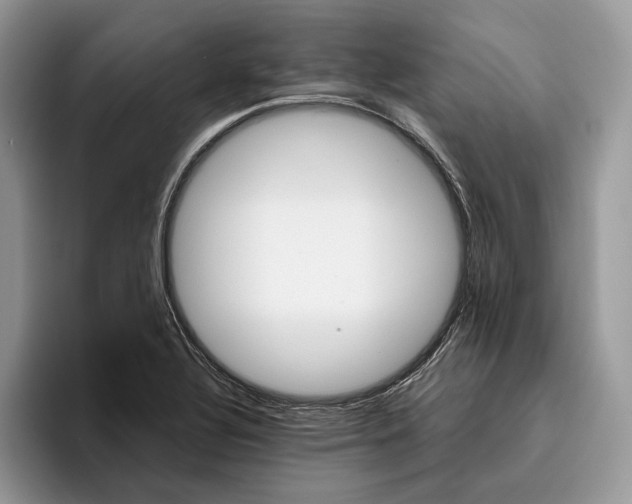 X0000095941320200802011033