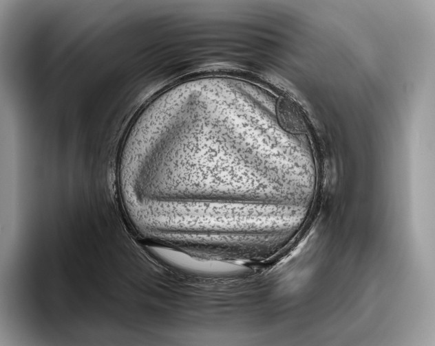 X0000095941321200802011033