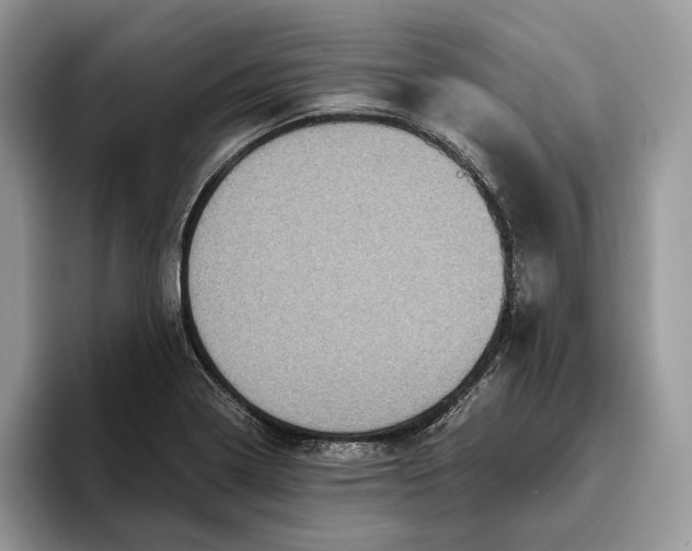 X0000095941322200802011033