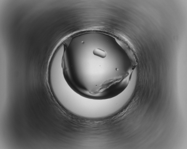 X0000095941324200802011033