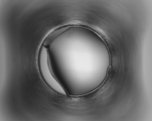 X0000095941326200802011033