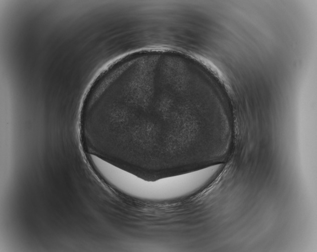 X0000095941327200802011033