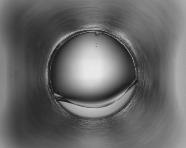 X0000095941328200802011033