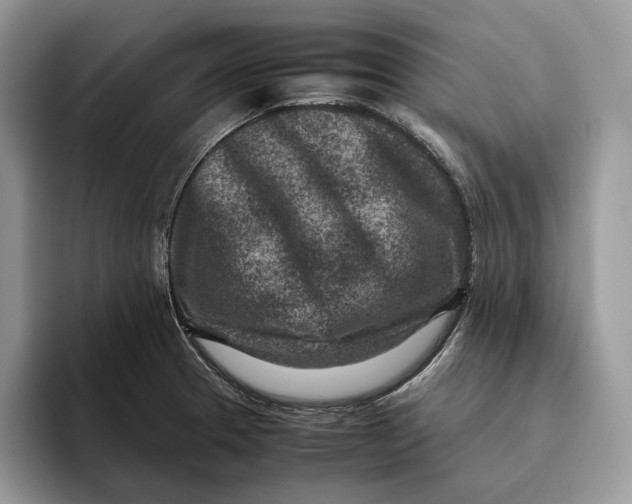 X0000095941329200802011033