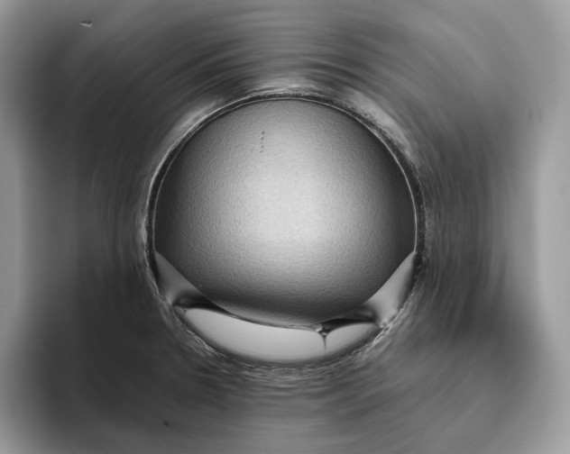 X0000095941330200802011033