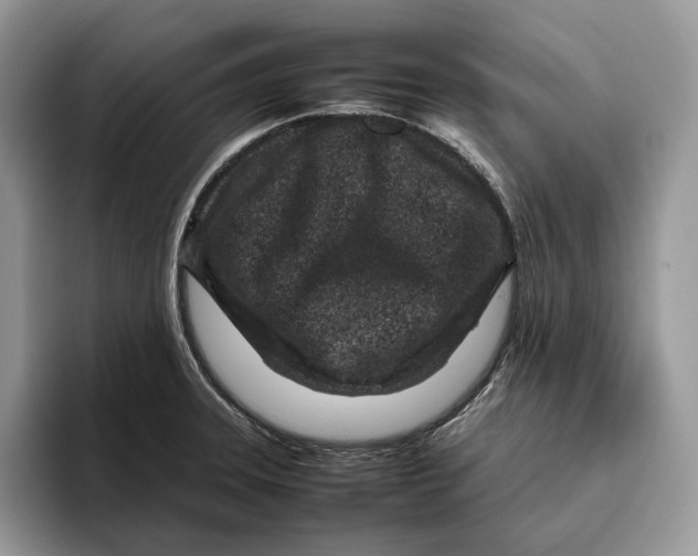 X0000095941331200802011033