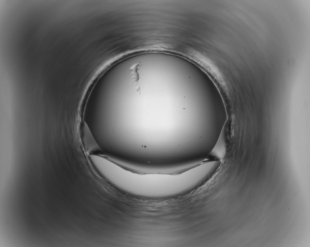 X0000095941332200802011033