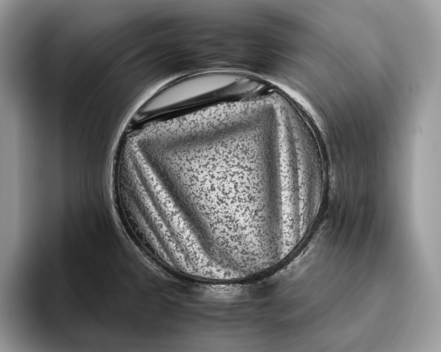 X0000095941333200802011033