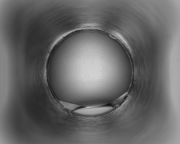 X0000095941336200802011034