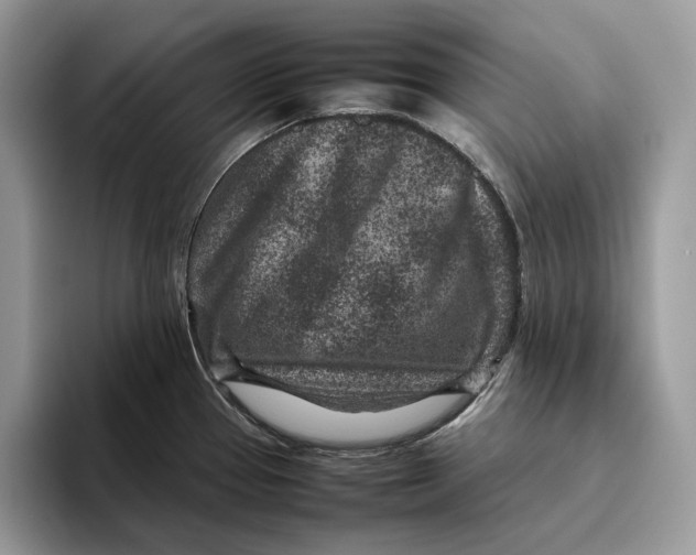 X0000095941337200802011034