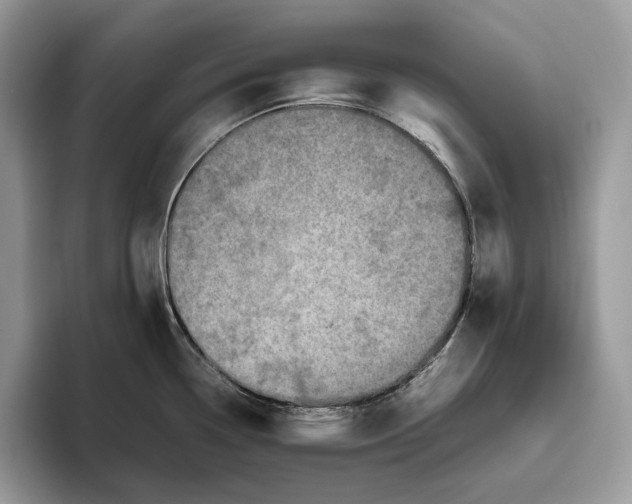 X0000095941338200802011034