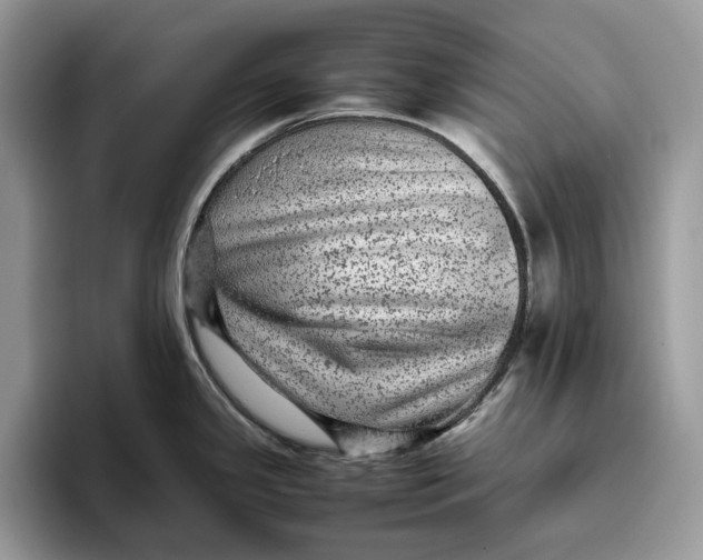 X0000095941341200802011034