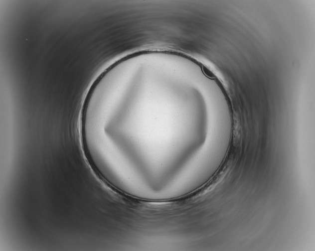 X0000095941343200802011034