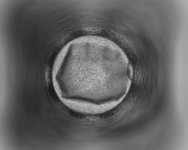 X0000095941346200802011033