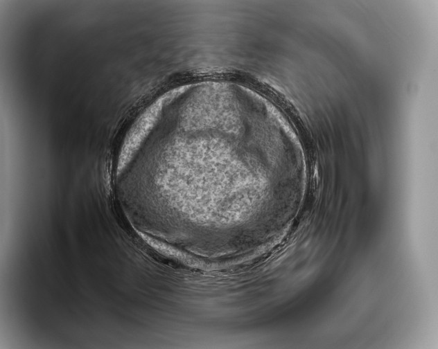 X0000095941348200802011033