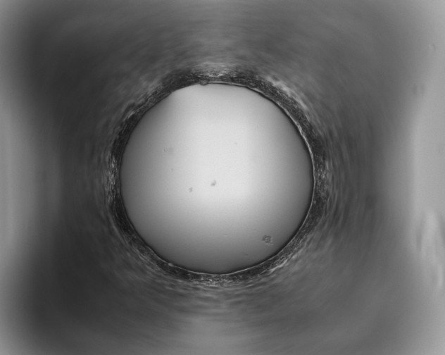 X0000095941349200802011033