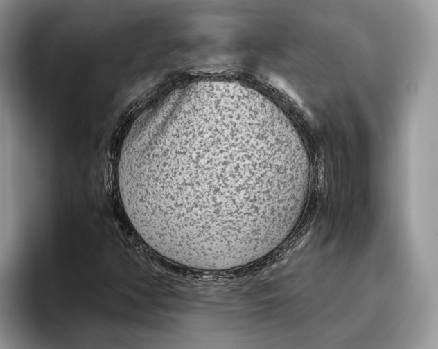 X0000095941350200802011033