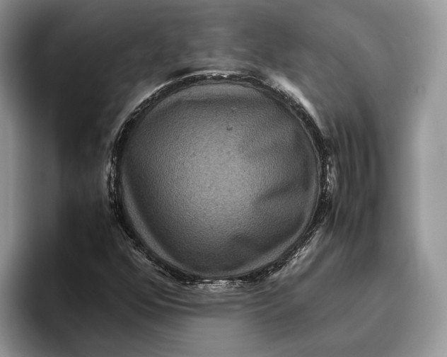 X0000095941352200802011033