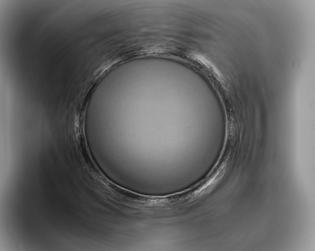 X0000095941353200802011033